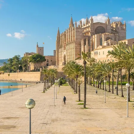 Evamas Palma