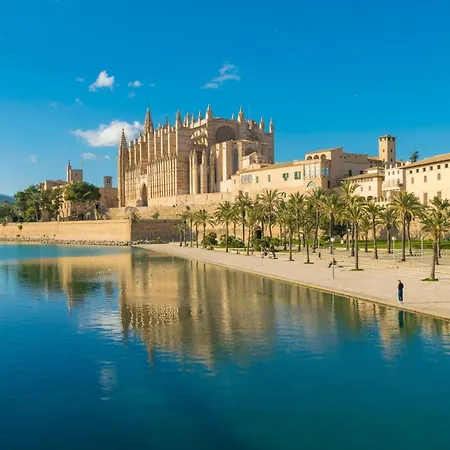 Evamas Palma